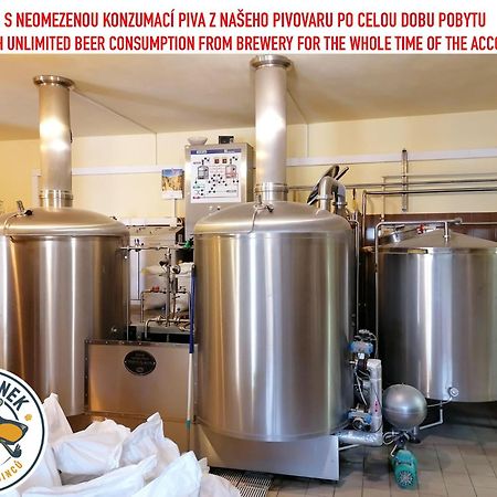 Penzion Eska S Pivovarem Mj Jince Экстерьер фото